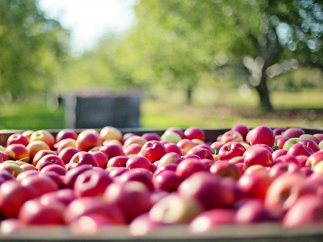 pommes sur le marché gîte le domaine des agapanthes
